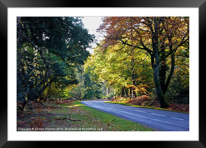 Autumn in the New Forest Framed Mounted Print by Gordon Dimmer