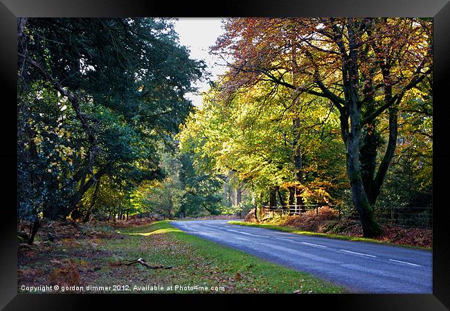 Autumn in the New Forest Framed Print by Gordon Dimmer