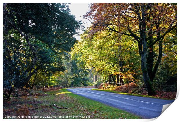 Autumn in the New Forest Print by Gordon Dimmer