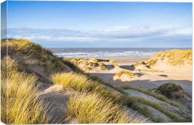 Rolling sand dunes on Formby beach Canvas Print by Jason Wells