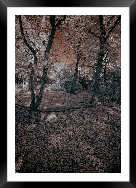 Colours of Infra Red Framed Mounted Print by Jayesh Gudka