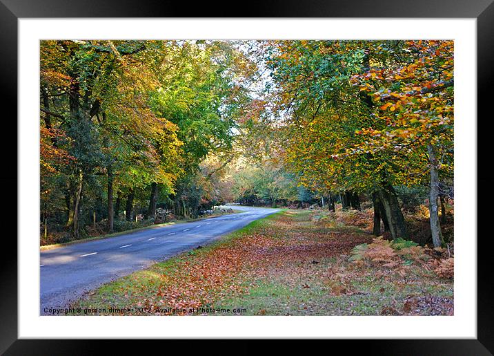 Autumn colours again Framed Mounted Print by Gordon Dimmer