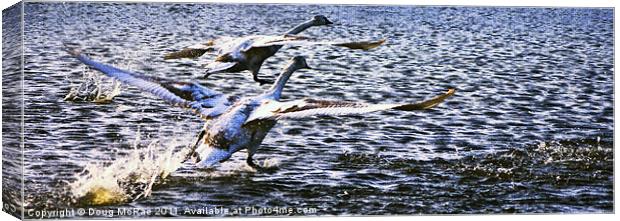 Flight of swans Canvas Print by Doug McRae