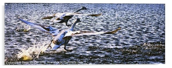 Flight of swans Acrylic by Doug McRae