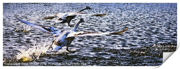 Flight of swans Print by Doug McRae