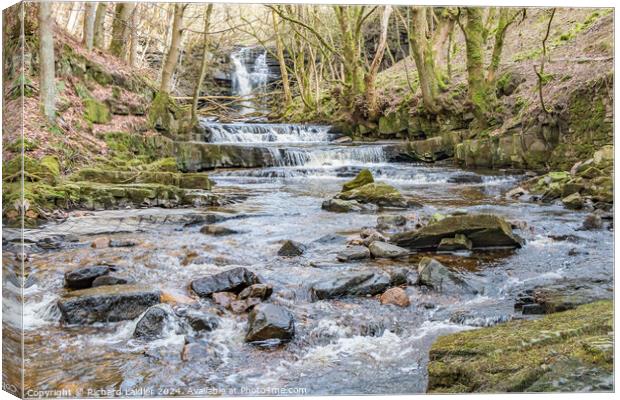 Bow Lee Beck and Summerhill Force, Teesdale Canvas Print by Richard Laidler