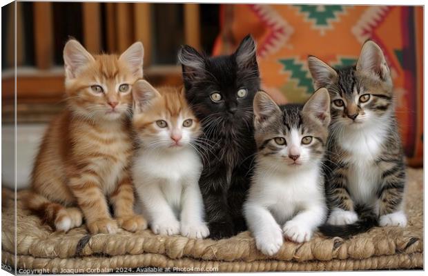A cluster of adorable kittens gathered together on Canvas Print by Joaquin Corbalan