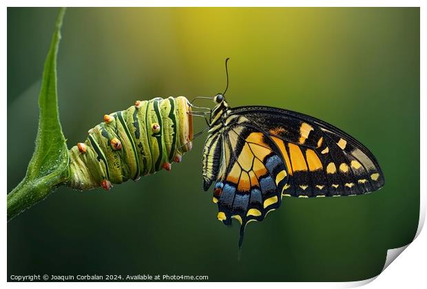 A colorful butterfly sitting on a vibrant green pl Print by Joaquin Corbalan