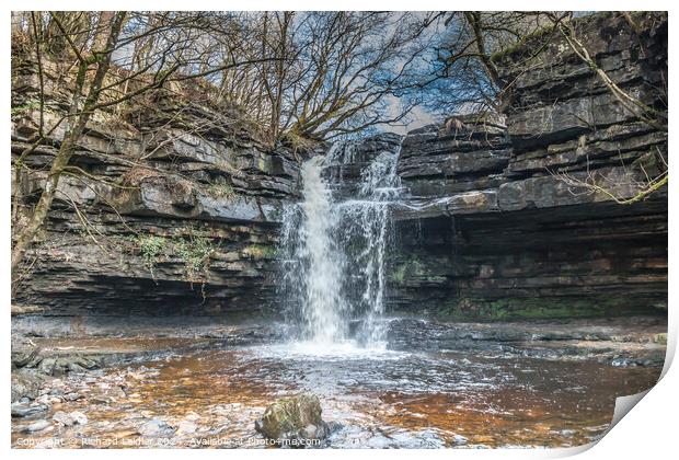 Summerhill Force Waterfall and Gibson's Cave Print by Richard Laidler