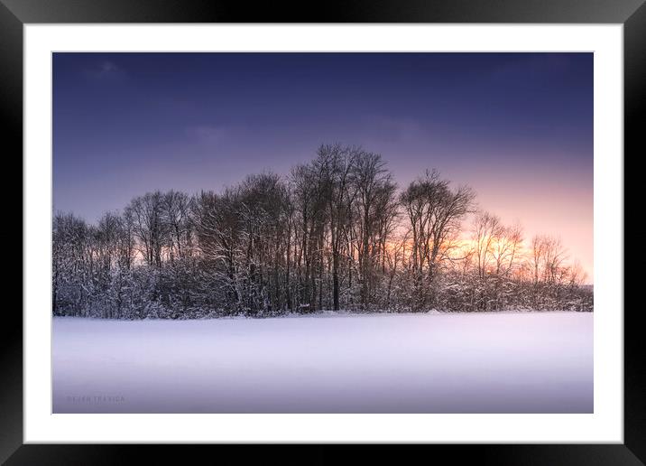 Grove in a field covered with snow Framed Mounted Print by Dejan Travica