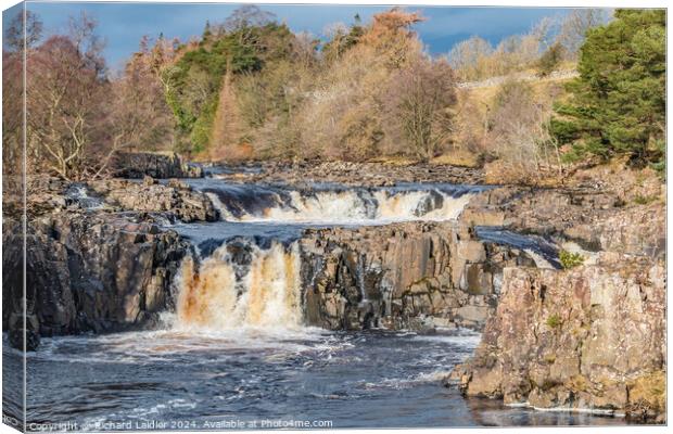 Winter Sun on Low Force Waterfall, Teesdale Canvas Print by Richard Laidler