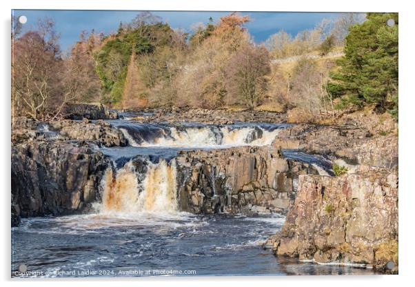 Winter Sun on Low Force Waterfall, Teesdale Acrylic by Richard Laidler