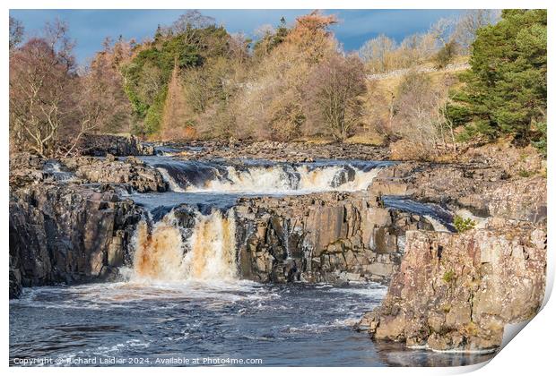 Winter Sun on Low Force Waterfall, Teesdale Print by Richard Laidler