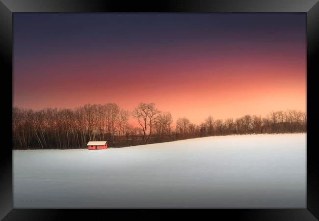 Red hut in the snow Framed Print by Dejan Travica
