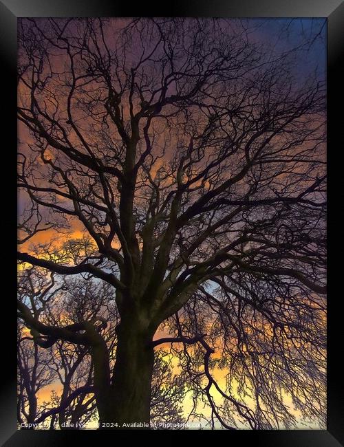 TREE'S IN WINTER Framed Print by dale rys (LP)