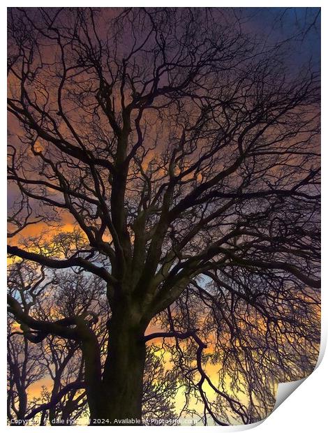 TREE'S IN WINTER Print by dale rys (LP)