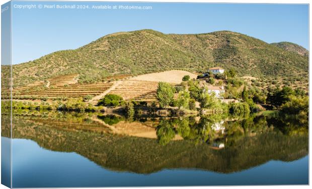 Olive groves and vineyards on Douro River Portugal Canvas Print by Pearl Bucknall