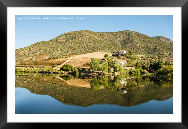 Olive groves and vineyards on Douro River Portugal Framed Mounted Print by Pearl Bucknall