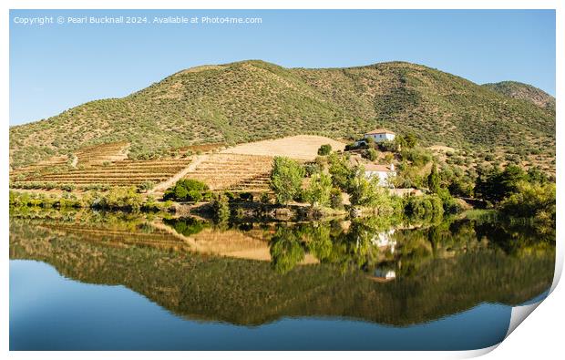 Olive groves and vineyards on Douro River Portugal Print by Pearl Bucknall