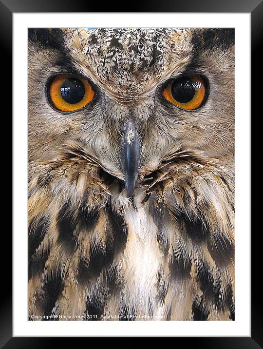 Watching You... Framed Mounted Print by Nicky Vines