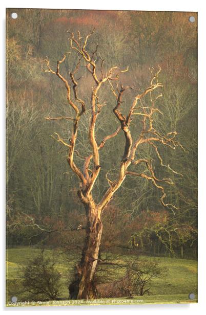 Lightening  tree Acrylic by Simon Johnson