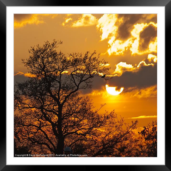 Watching the sun go down Framed Mounted Print by David McFarland