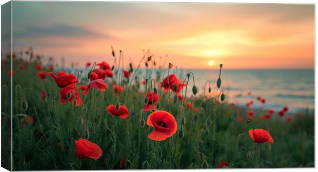 Poppy Field Canvas Print by Airborne Images