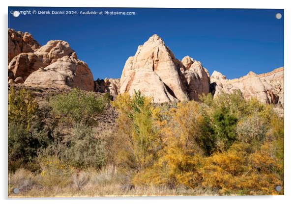 Capitol Reef National Park Acrylic by Derek Daniel