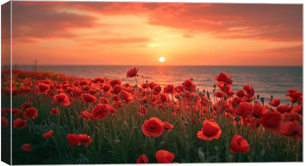 Poppy Field Canvas Print by Airborne Images