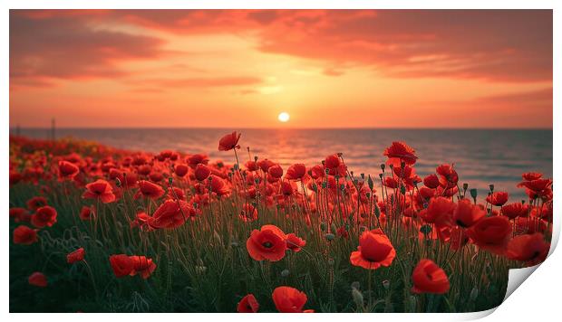Poppy Field Print by Airborne Images