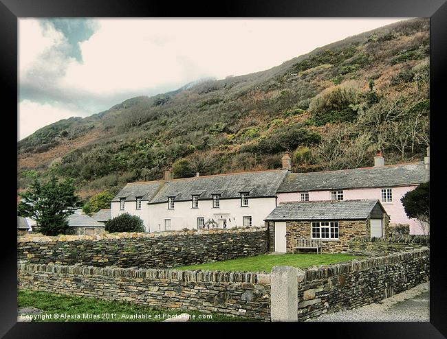 Boscastle Cottages Framed Print by Alexia Miles