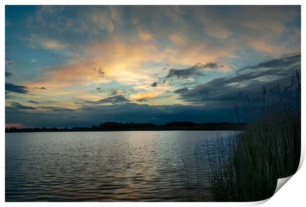 Clouds after sunset over the lake with reeds Print by Dariusz Banaszuk