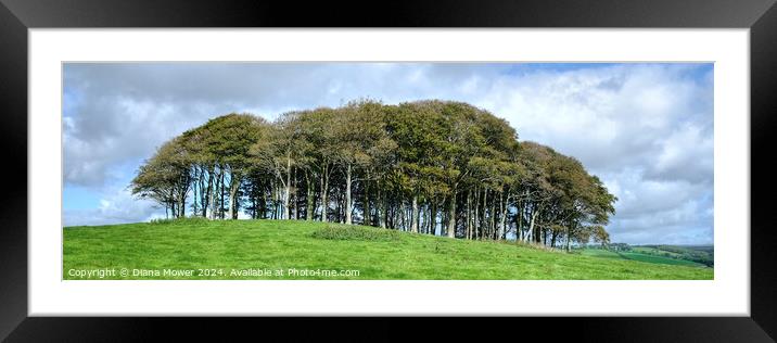 The Coming Home Trees Panoramic Framed Mounted Print by Diana Mower