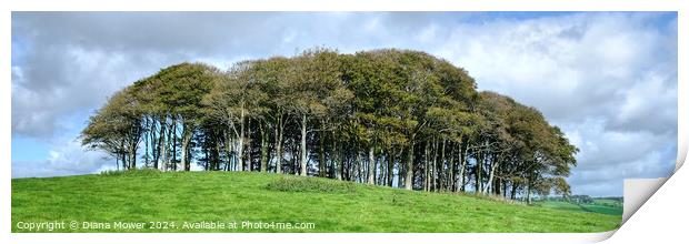 The Coming Home Trees Panoramic Print by Diana Mower