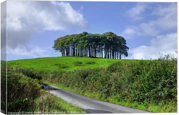  Nearly Home trees Cornwall Canvas Print by Diana Mower