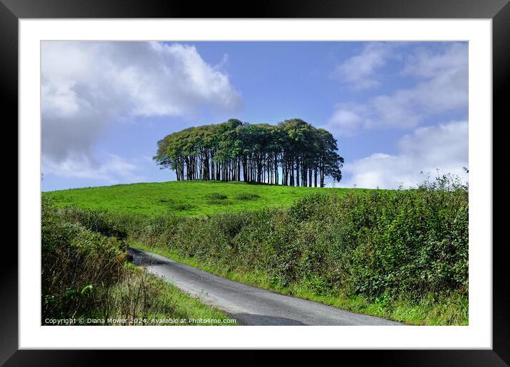  Nearly Home trees Cornwall Framed Mounted Print by Diana Mower