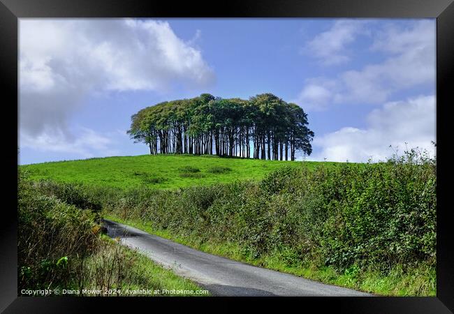  Nearly Home trees Cornwall Framed Print by Diana Mower