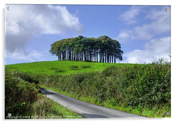  Nearly Home trees Cornwall Acrylic by Diana Mower