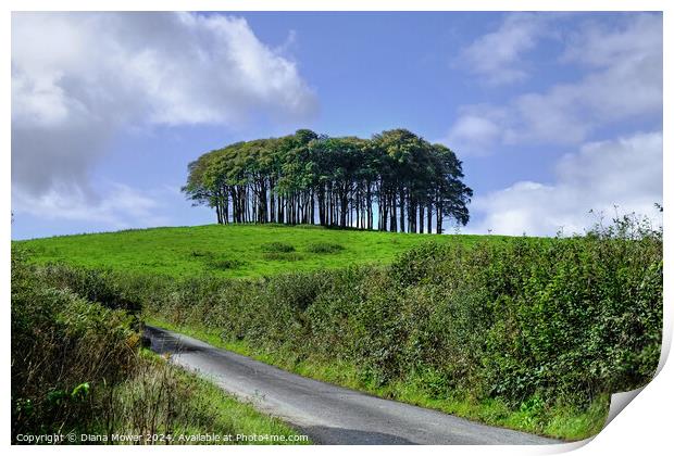  Nearly Home trees Cornwall Print by Diana Mower