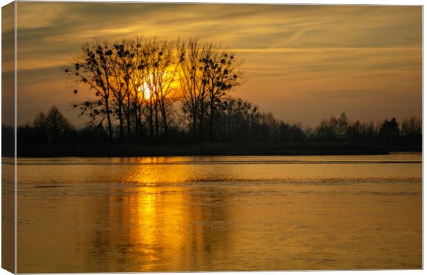 Golden sunset behind trees over a frozen lake Canvas Print by Dariusz Banaszuk