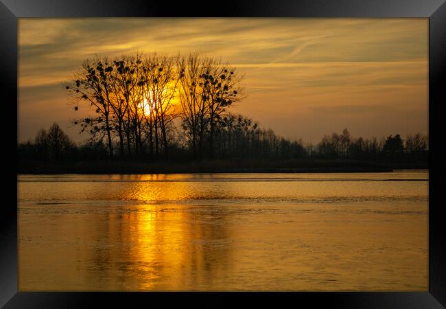 Golden sunset behind trees over a frozen lake Framed Print by Dariusz Banaszuk