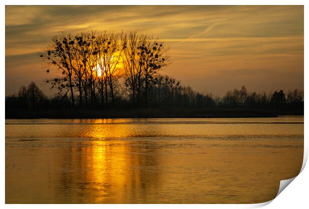Golden sunset behind trees over a frozen lake Print by Dariusz Banaszuk