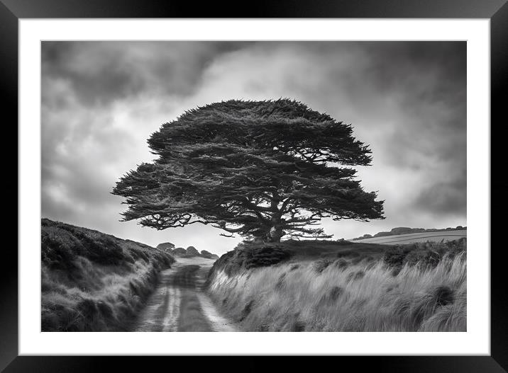 Lonely Tree Framed Mounted Print by Picture Wizard