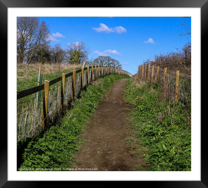 Pathway Framed Mounted Print by Martin fenton