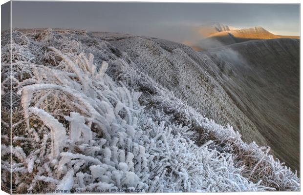 Frozen at First Light up on the Bannau Brycheiniog Canvas Print by Neil Holman