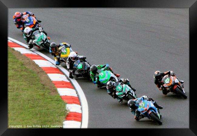 HEL Performance British Supersport Championship with Motocourse- Brands Hatch 2023 Framed Print by Ray Putley