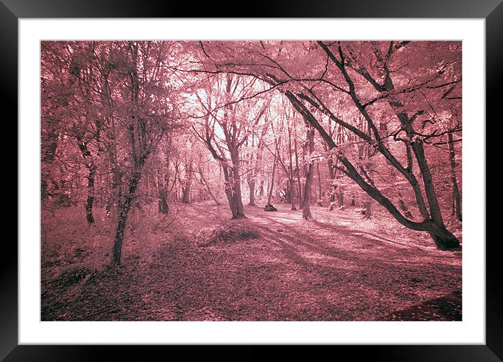 Infra Red Bentley Woods Stanmore Framed Mounted Print by Jayesh Gudka