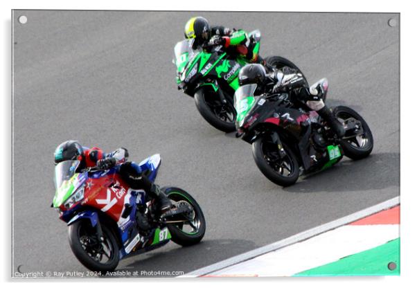 HEL Performance British Supersport Championship with Motocourse- Brands Hatch 2023 Acrylic by Ray Putley