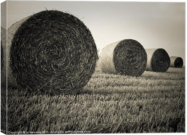 grain circles Canvas Print by Jo Beerens