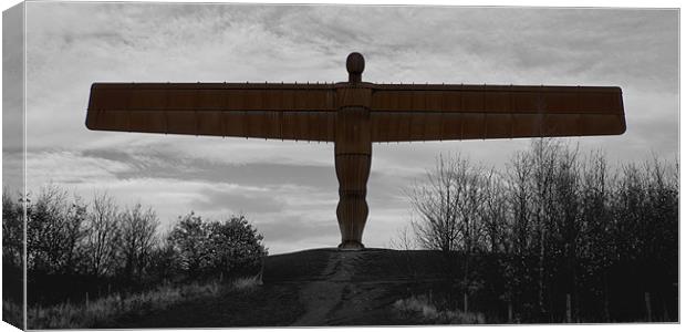 angel of the north Canvas Print by Northeast Images